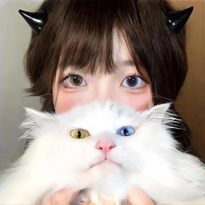 寅次郎的故事20：加油啊！寅次郎